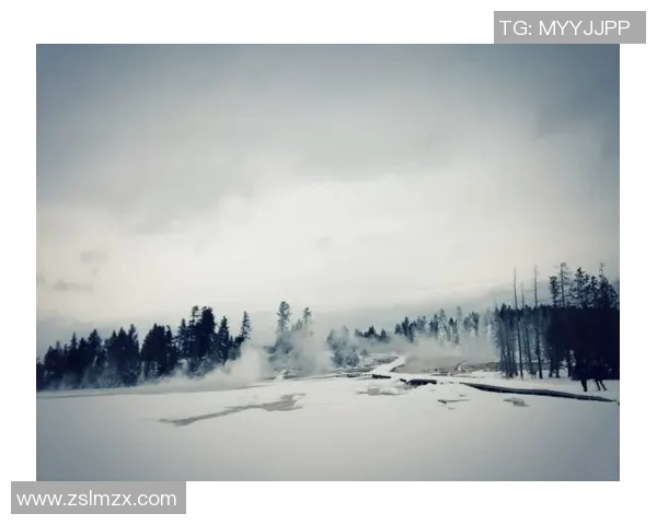 盐湖城与西雅图音速的对决分析与赛季展望