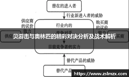 今年会平台入口