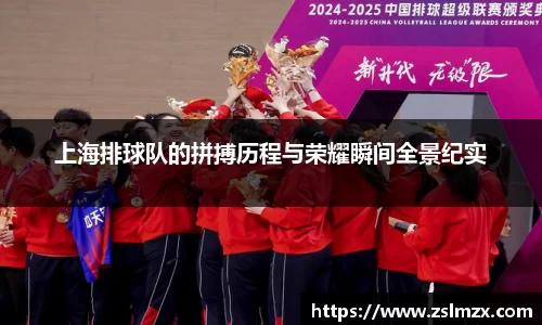 上海排球队的拼搏历程与荣耀瞬间全景纪实
